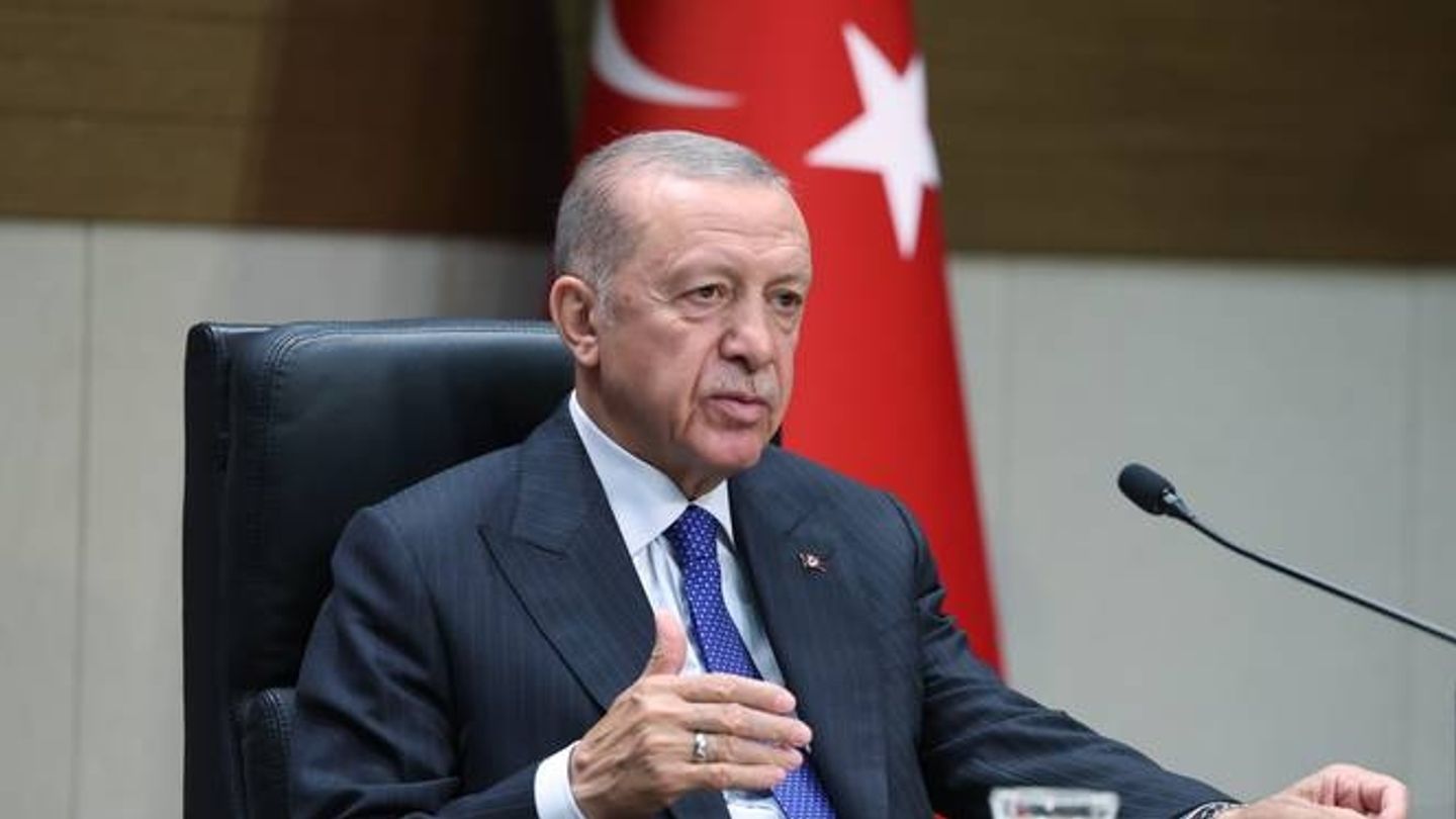 Erdogan to discuss grain deal, fertiliser with Putin