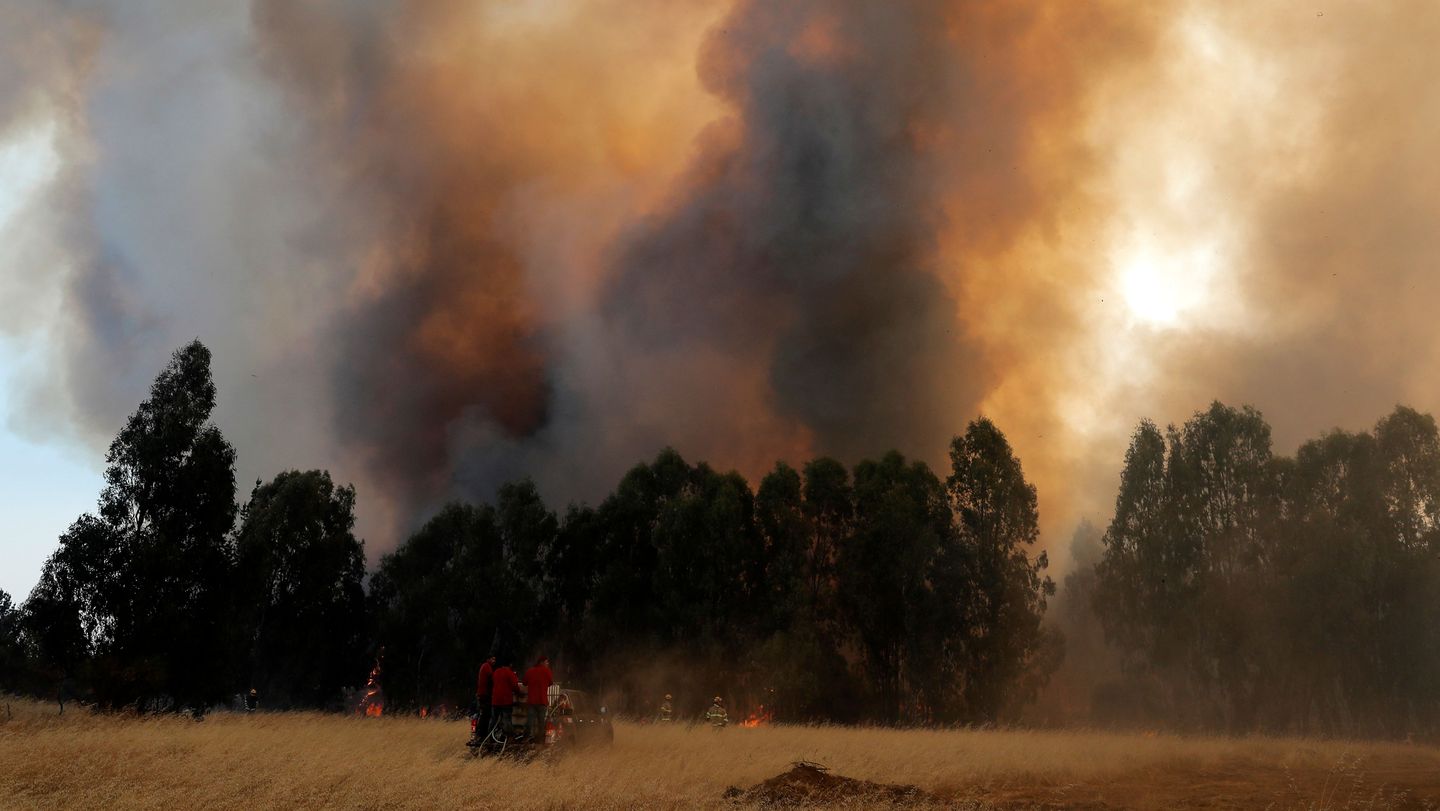 Feux de forêt: une année 2023 dévastatrice