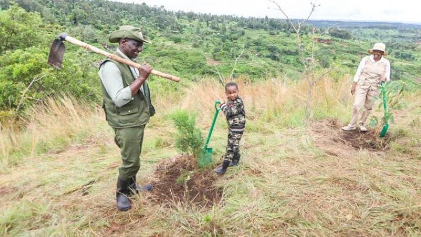 En images : Les Kenyans plantent des arbres en hommage aux victimes des inondations